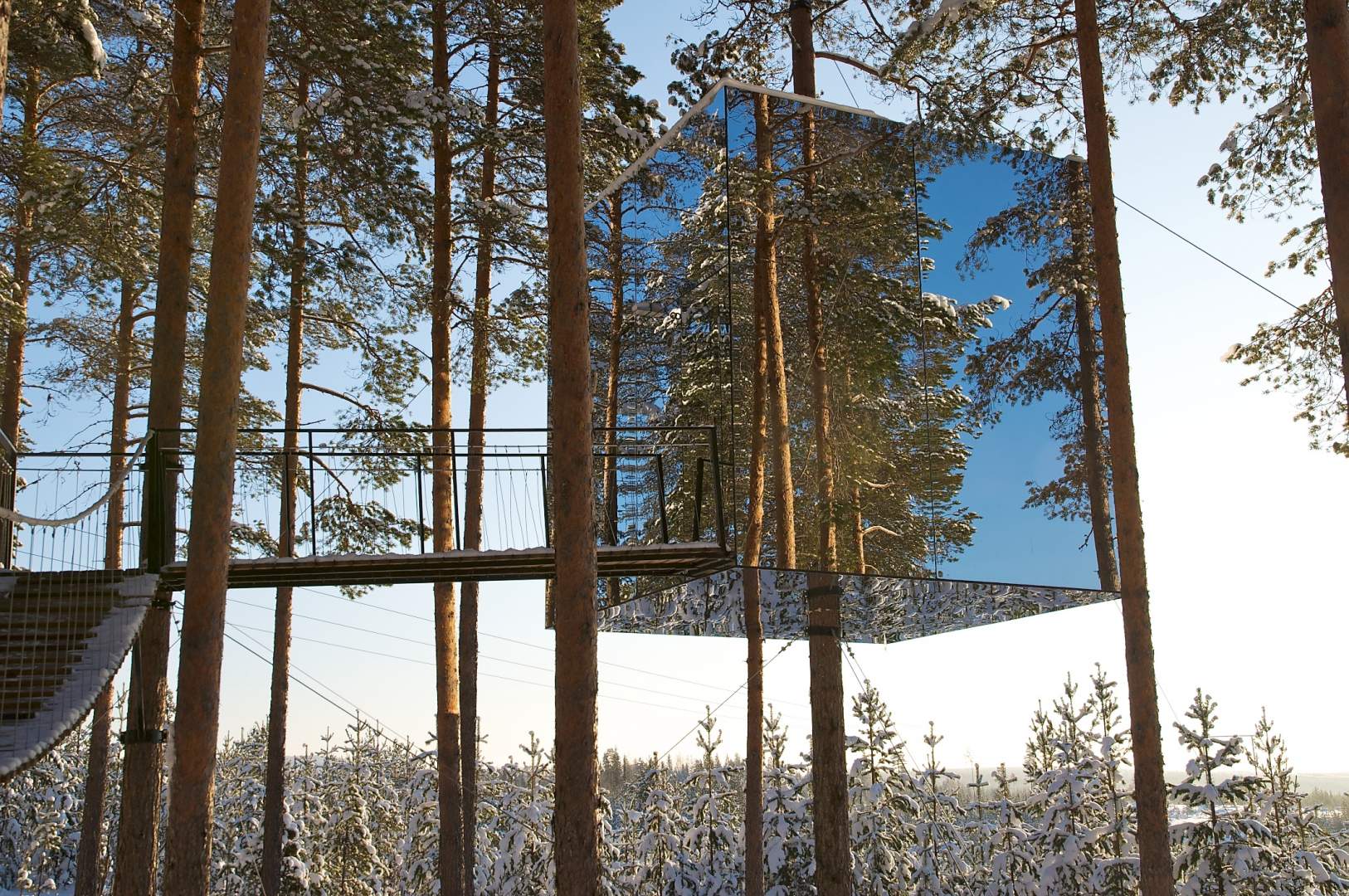 این هتل از خانه های درختی درست شده است که اتاق های آن شبیه کپسول های شیشه ای هستند